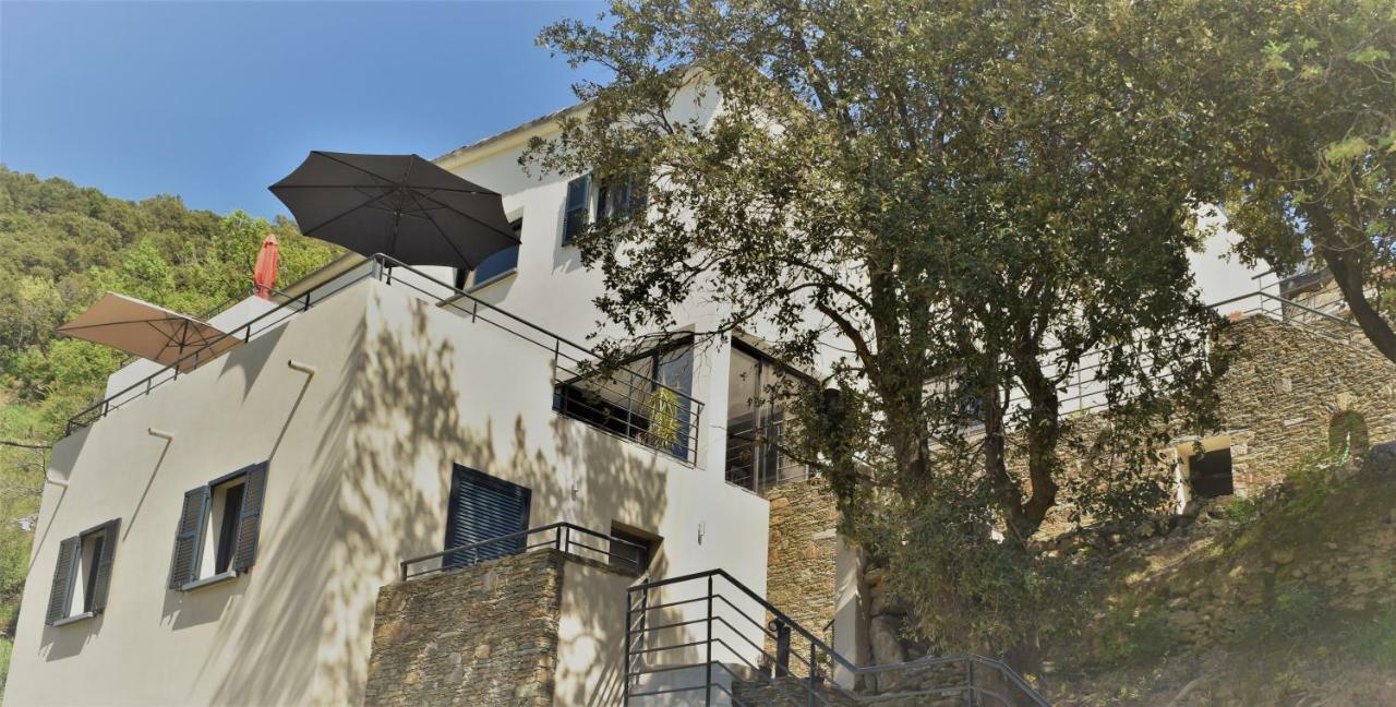 הוילה אולטה A Casa Di Campa מראה חיצוני תמונה